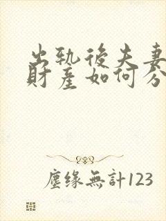 出轨后夫妻共同财产如何分配封面