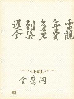 迟到多年电视剧全集免费观看