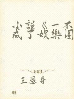 小说《一不小心成了娱乐圈顶流》