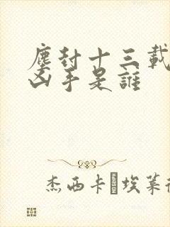 尘封十三载最后凶手是谁封面