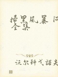 扫黑风暴 网盘 全集