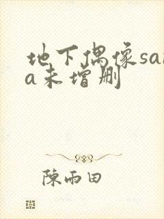 地下偶像sana未增删