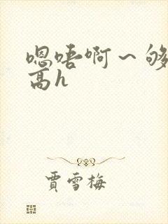 嗯唔啊~够了啊高h