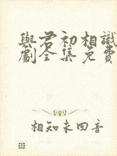 与君初相识电视剧全集免费播放