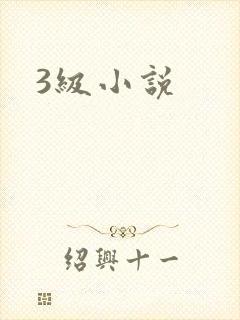 3级小说