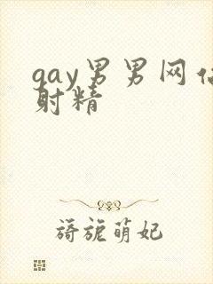 gay男男网站射精封面