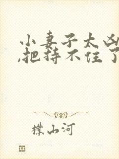小妻子太凶陆爷,把持不住了短剧免费