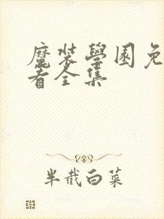魔装学园免费观看全集