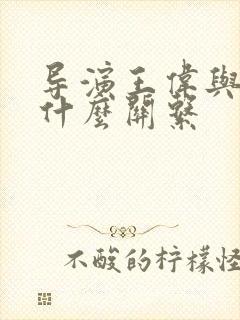 导演王伟与宋佳什么关系