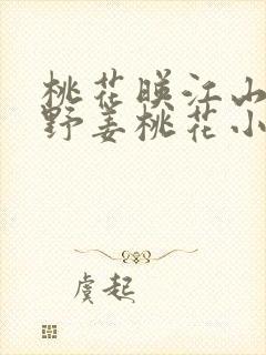 桃花映江山沈在野姜桃花小说全文免费阅读