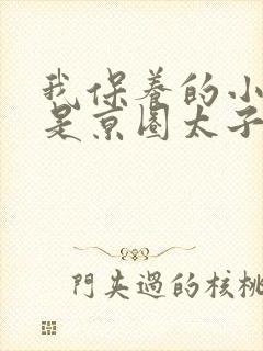 我保养的小白脸是京圈太子爷