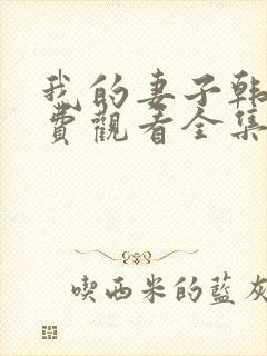 我的妻子韩剧免费观看全集在线观看天才中封面