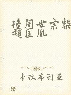 后周世宗柴荣与赵匡胤