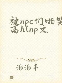 被npc们啪哭高h(np文封面