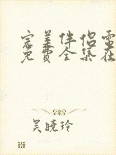 完美伴侣电视剧免费全集在线观看封面