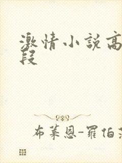 激情小说高潮片段