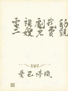 电视剧我的二哥二嫂免费观看封面