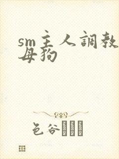 sm主人调教小母狗封面