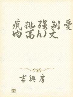 疯批强制爱(巨肉高h)文