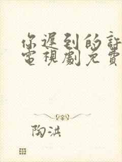 你迟到的许多年电视剧免费观看完整版封面