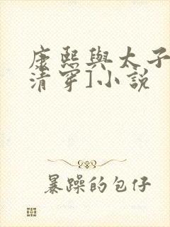 康熙与太子妃[清穿]小说