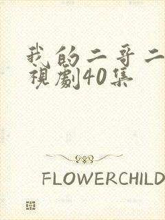 我的二哥二嫂电视剧40集
