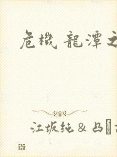 危机 龙潭之战