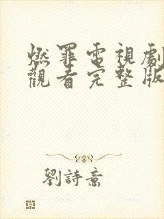 燃罪电视剧免费观看完整版高清