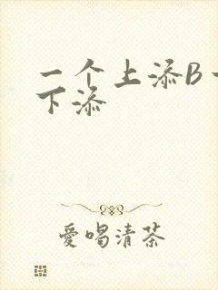 一个上添B一个下添