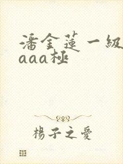 潘金莲一级淫片aaa极