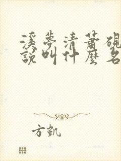 溪梦清萧砚池小说叫什么名字