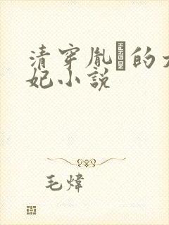 清穿胤礽的太子妃小说封面