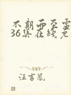 不期而至电视剧36集在线免费观看
