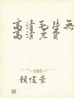 高清毛片无遮挡高清免费
