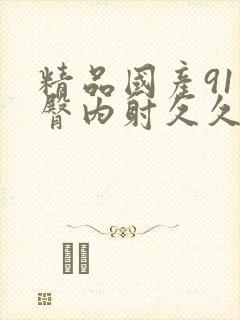 精品国产91蜜臀内射久久封面