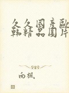 久久国产欧美日韩精品图片