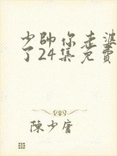 少帅你老婆又跑了24集免费观看