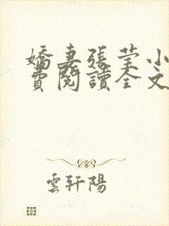 娇妻张莹小说免费阅读全文