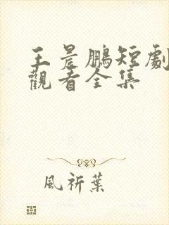 王晨鹏短剧免费观看全集