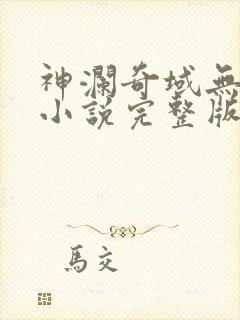 神澜奇域无双珠小说完整版本封面