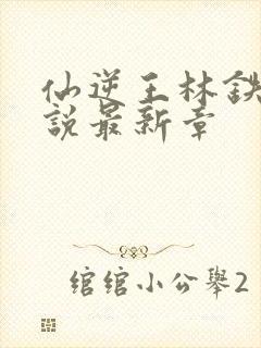 仙逆王林铁柱小说最新章