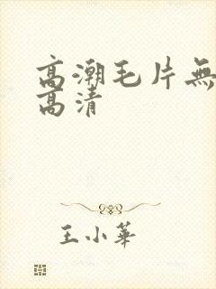高潮毛片无遮挡高清