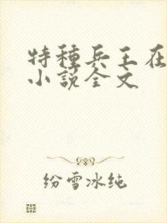 特种兵王在山村小说全文