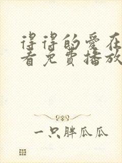 得得的爱在线观看免费播放电视剧封面