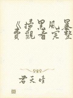 《扫黑风暴》免费观看完整版封面