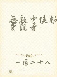 无敌少侠动漫免费观看
