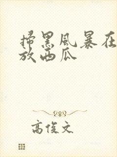 扫黑风暴在线播放西瓜