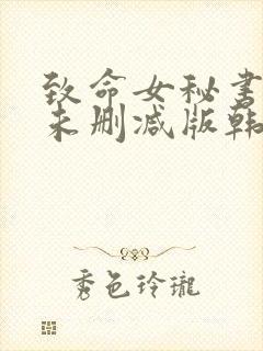 致命女秘书韩剧未删减版韩国