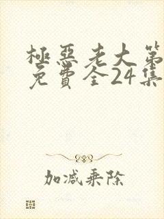极恶老大第3季免费全24集