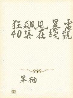 狂飙风暴电视剧40集在线观看免费封面